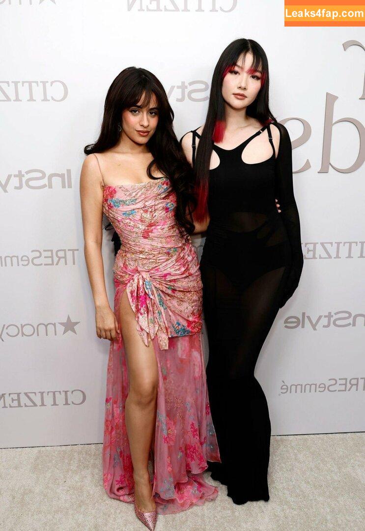 Camila Cabello / Camila_Cabello / iamgabrielaung leaked photo photo #3272