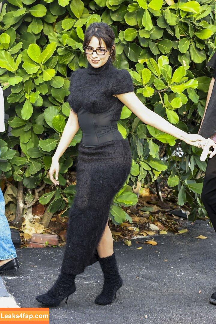 Camila Cabello / Camila_Cabello / iamgabrielaung leaked photo photo #3531