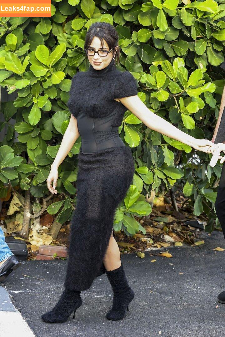 Camila Cabello / Camila_Cabello / iamgabrielaung leaked photo photo #3539