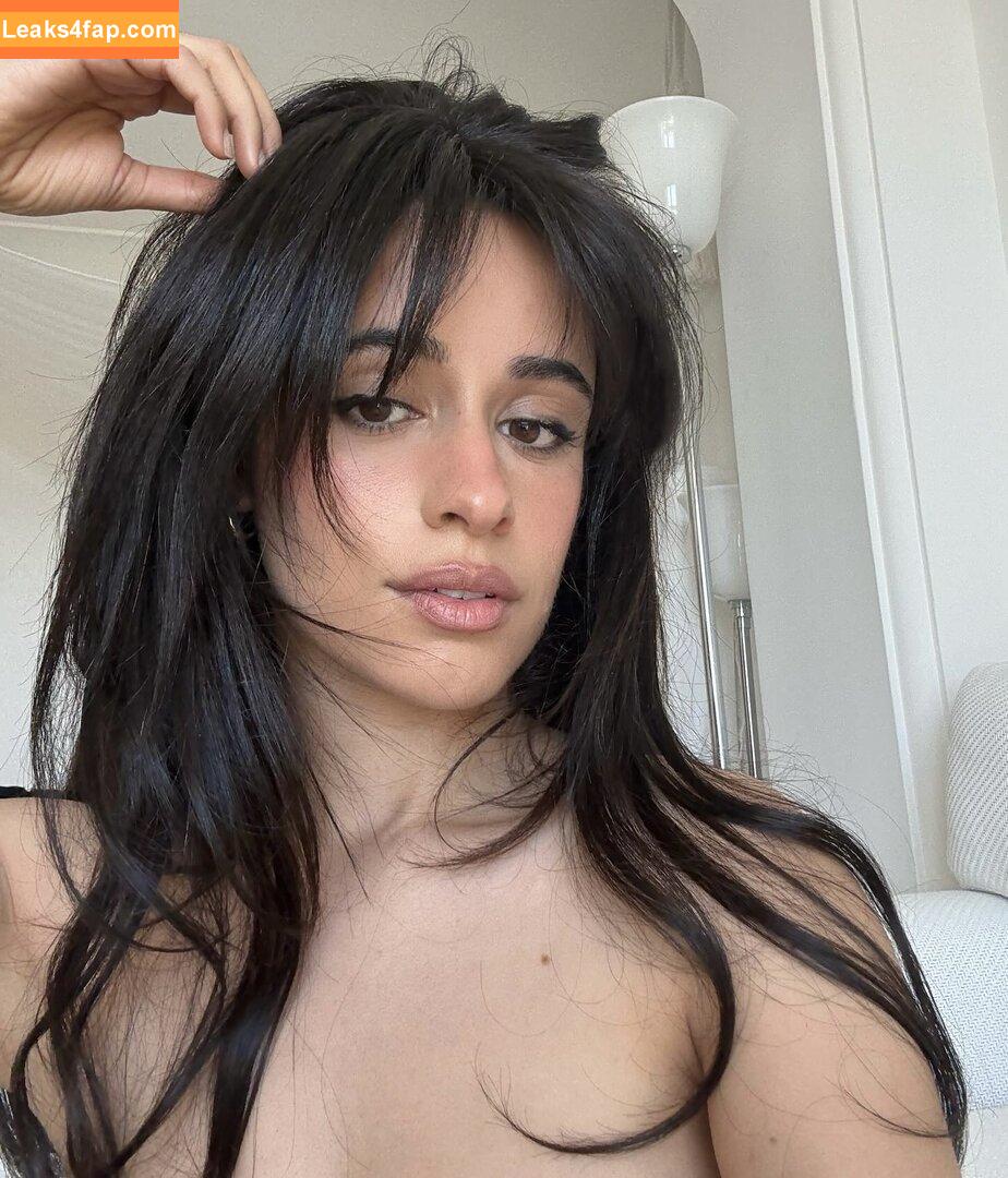 Camila Cabello / Camila_Cabello / iamgabrielaung leaked photo photo #3900