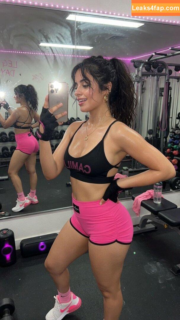 Camila Cabello / Camila_Cabello / camilacabello / iamgabrielaung leaked photo photo #4009