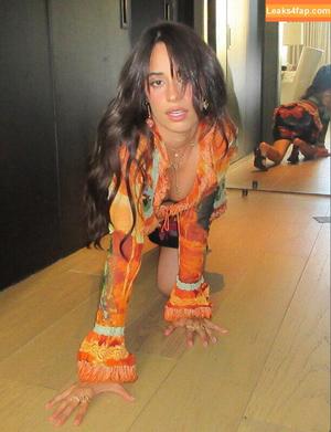 Camila Cabello photo #4045