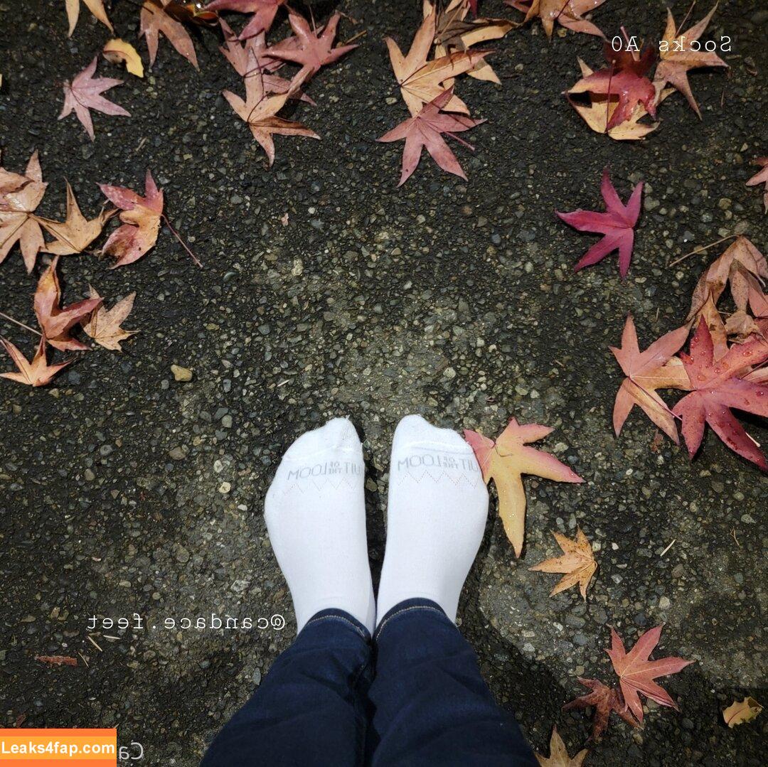 candace.feet /  слитое фото фото #0014