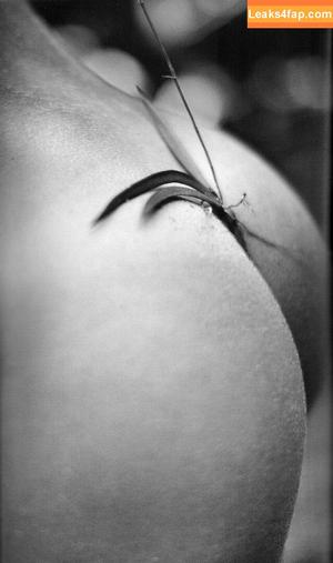 Candice Swanepoel photo #0463