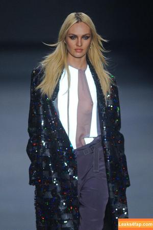 Candice Swanepoel photo #0616