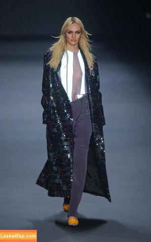 Candice Swanepoel photo #0623