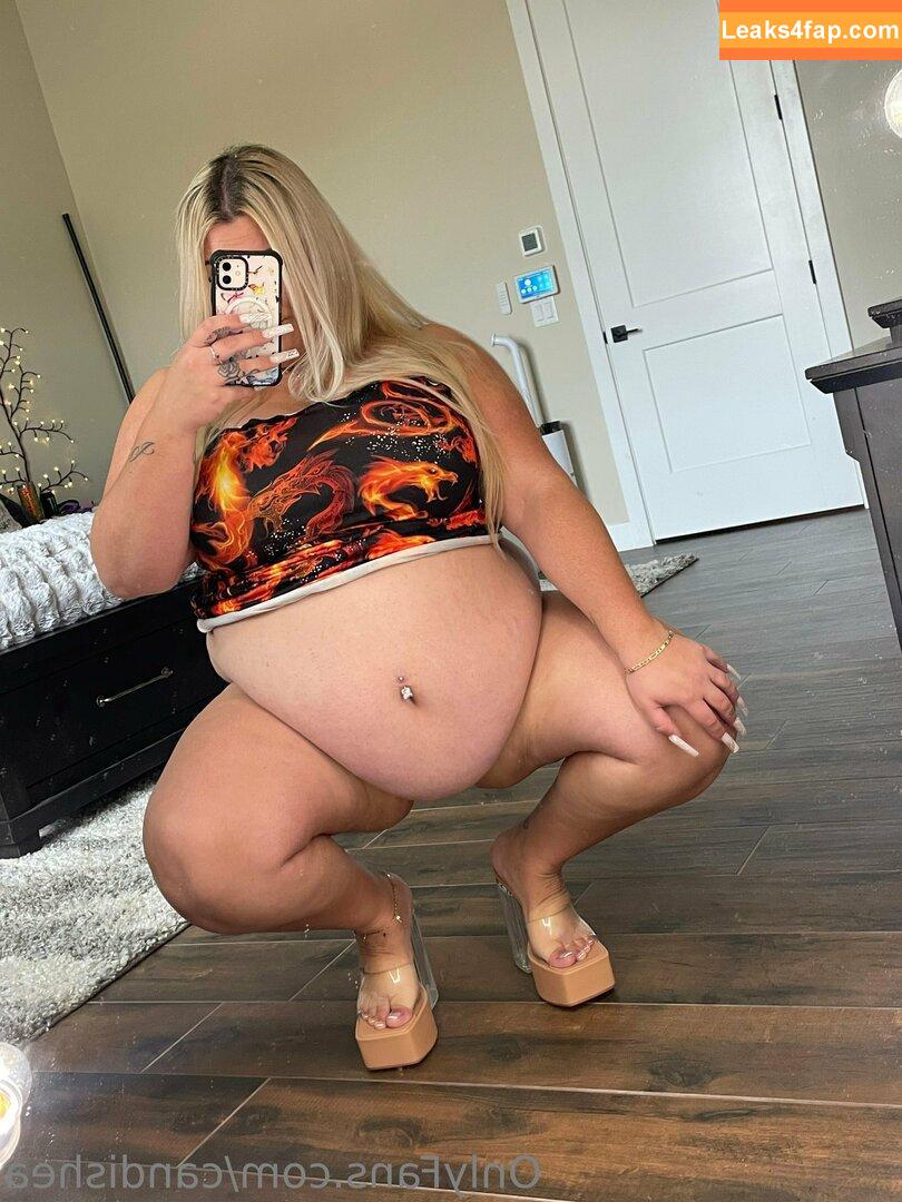 candishea / bbwcandishea leaked photo photo #0045