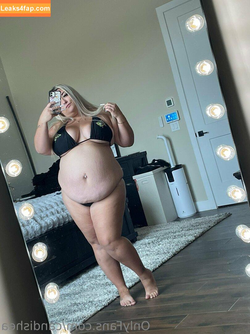 candishea / bbwcandishea leaked photo photo #0050