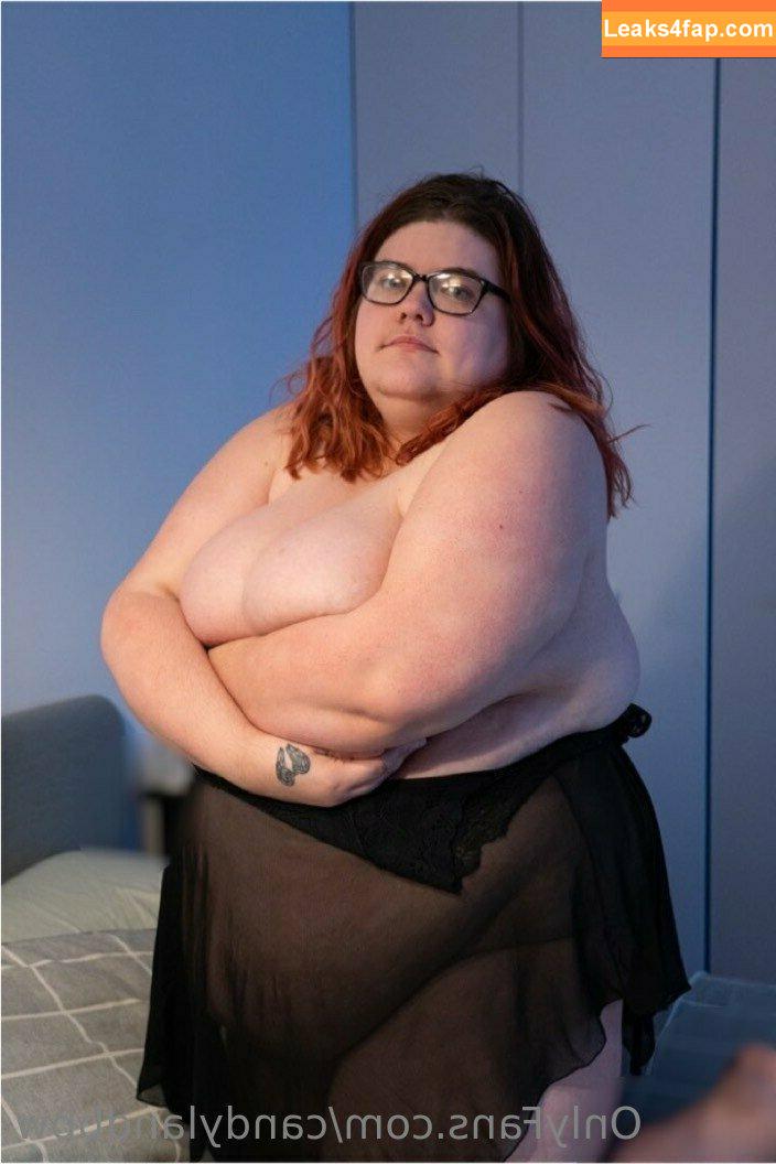 candylandbbw1 / landofsw33tzz leaked photo photo #0005