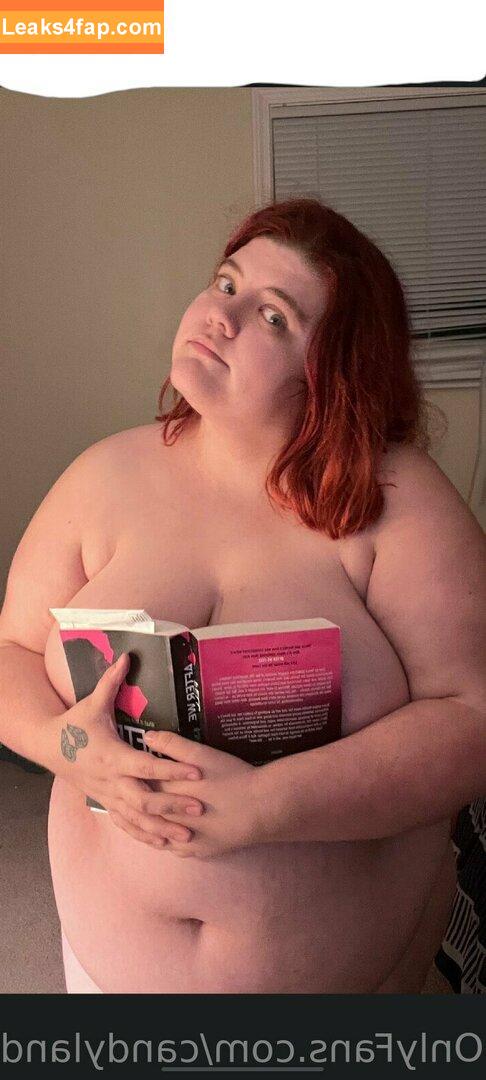 candylandbbw1 / landofsw33tzz leaked photo photo #0012