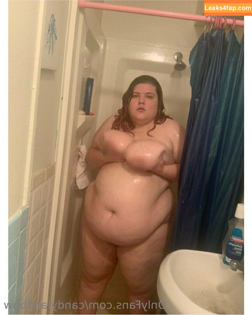 candylandbbw1 / landofsw33tzz leaked photo photo #0016