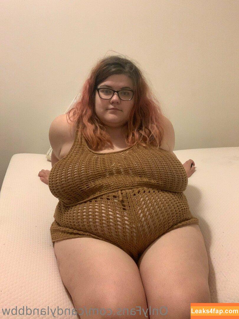 candylandbbw1 / landofsw33tzz leaked photo photo #0017