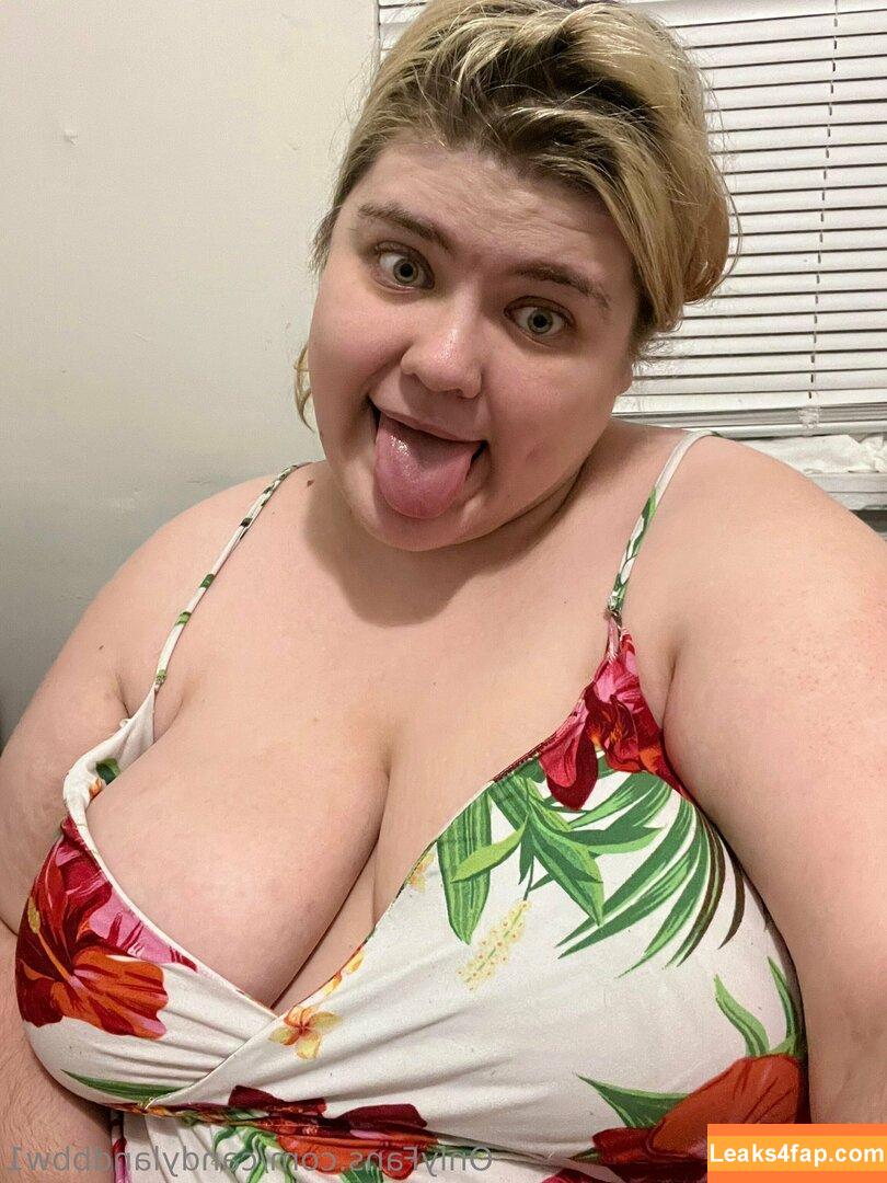 candylandbbw1 / landofsw33tzz leaked photo photo #0051