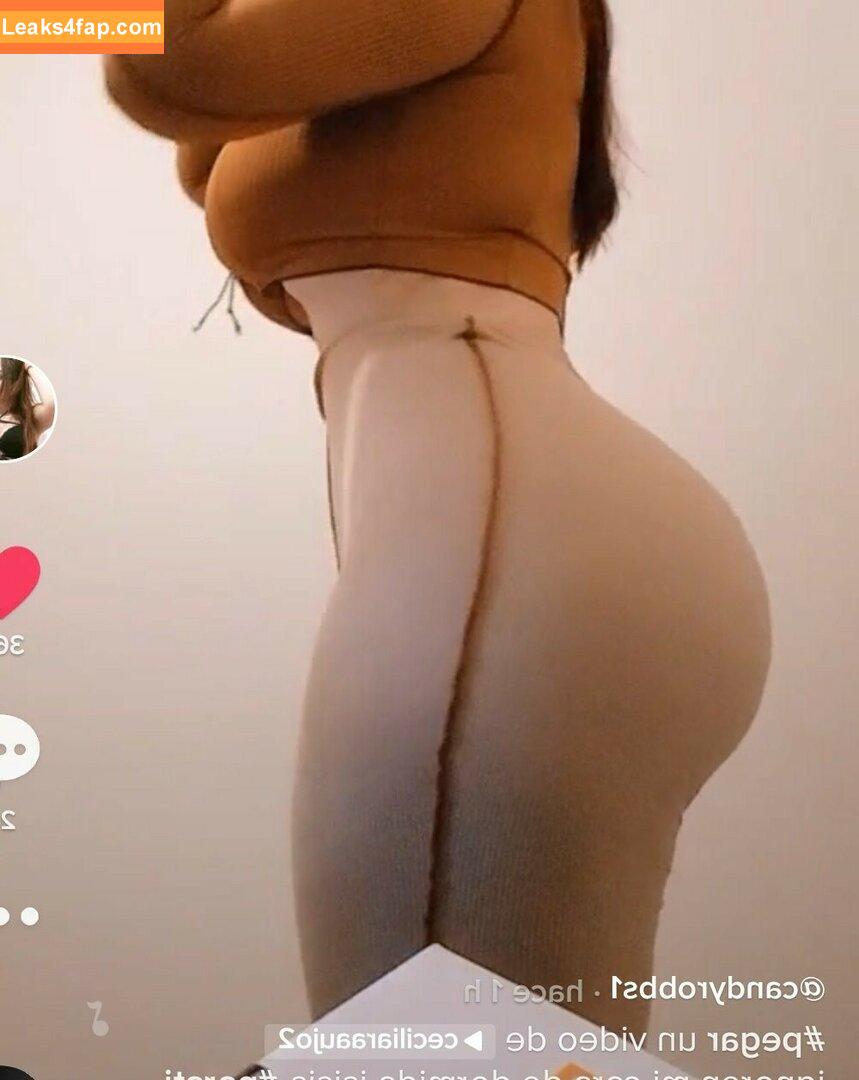 Candyrobbs / Candyrobbs1 leaked photo photo #0335