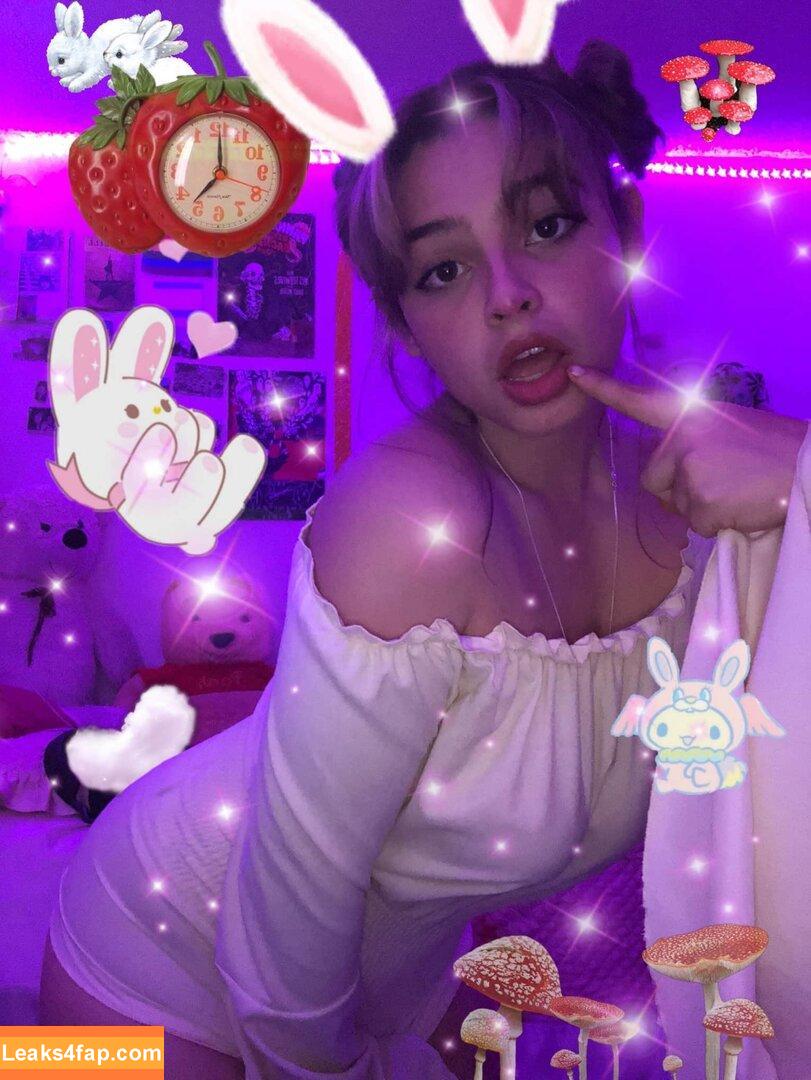 Candyrobbs / Candyrobbs1 leaked photo photo #0423