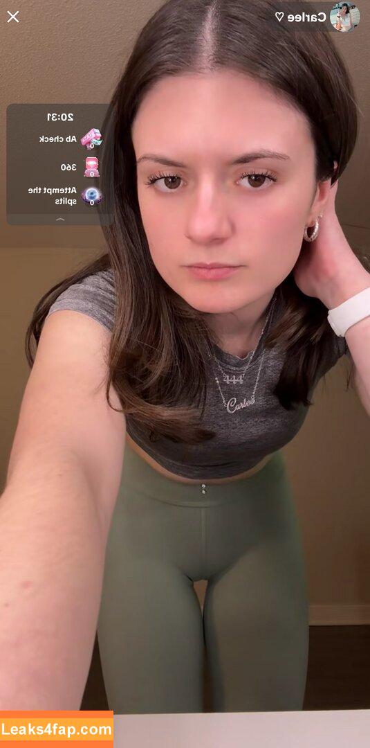 Carlee Hoschouer / CarleeHosch / ca.rl.ee слитое фото фото #0043