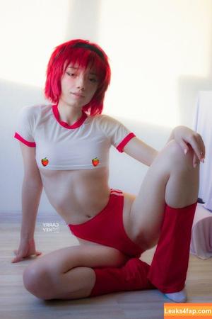 Carrykey photo #0571