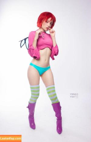 Carrykey photo #0597