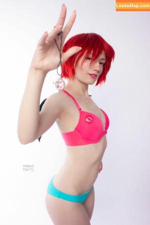 Carrykey photo #0607