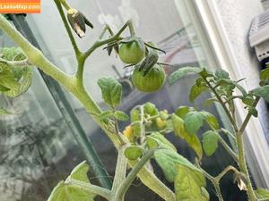 CaseyKissesXoXo photo #0294