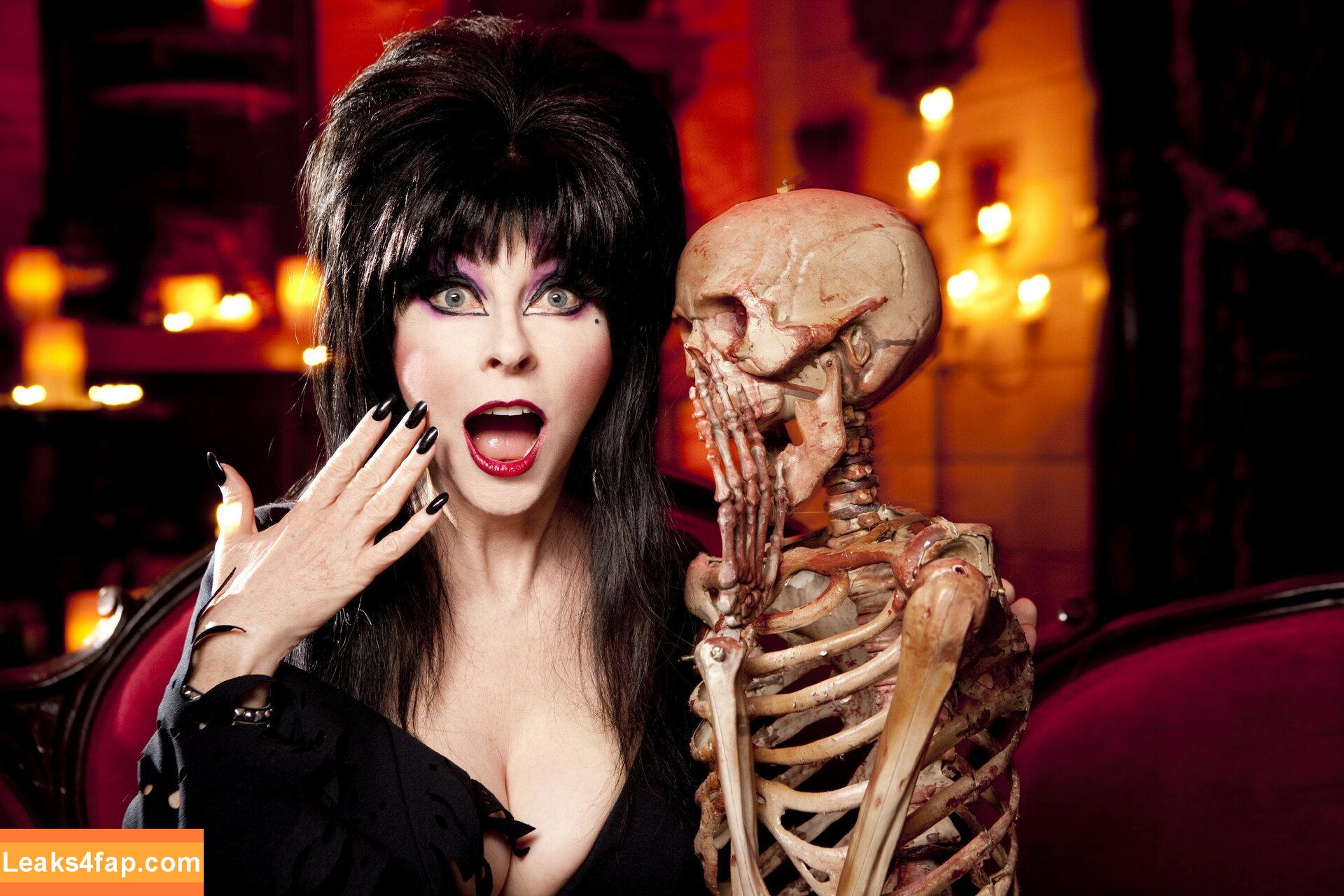 Cassandra Peterson / Elvira / therealelvira leaked photo photo #0048