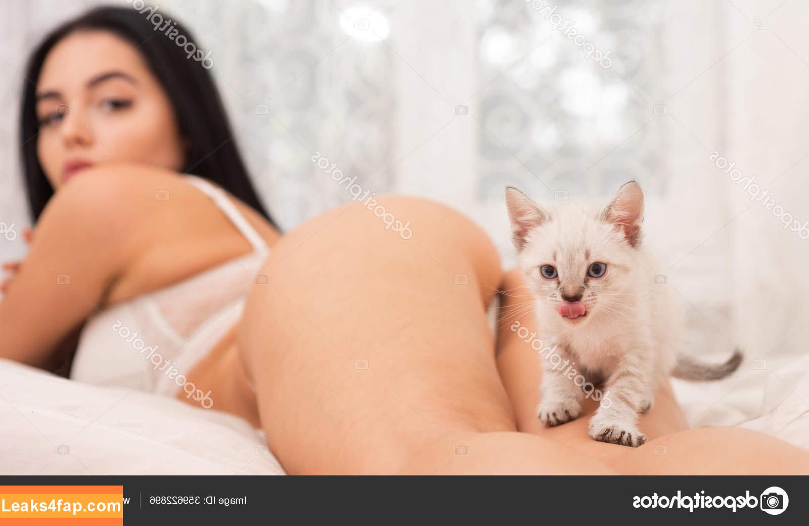 Cat Kitty /  слитое фото фото #0009