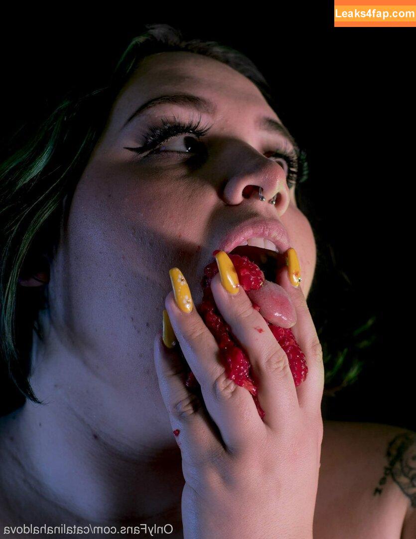 catalinahaldova / hellavelvet leaked photo photo #0024