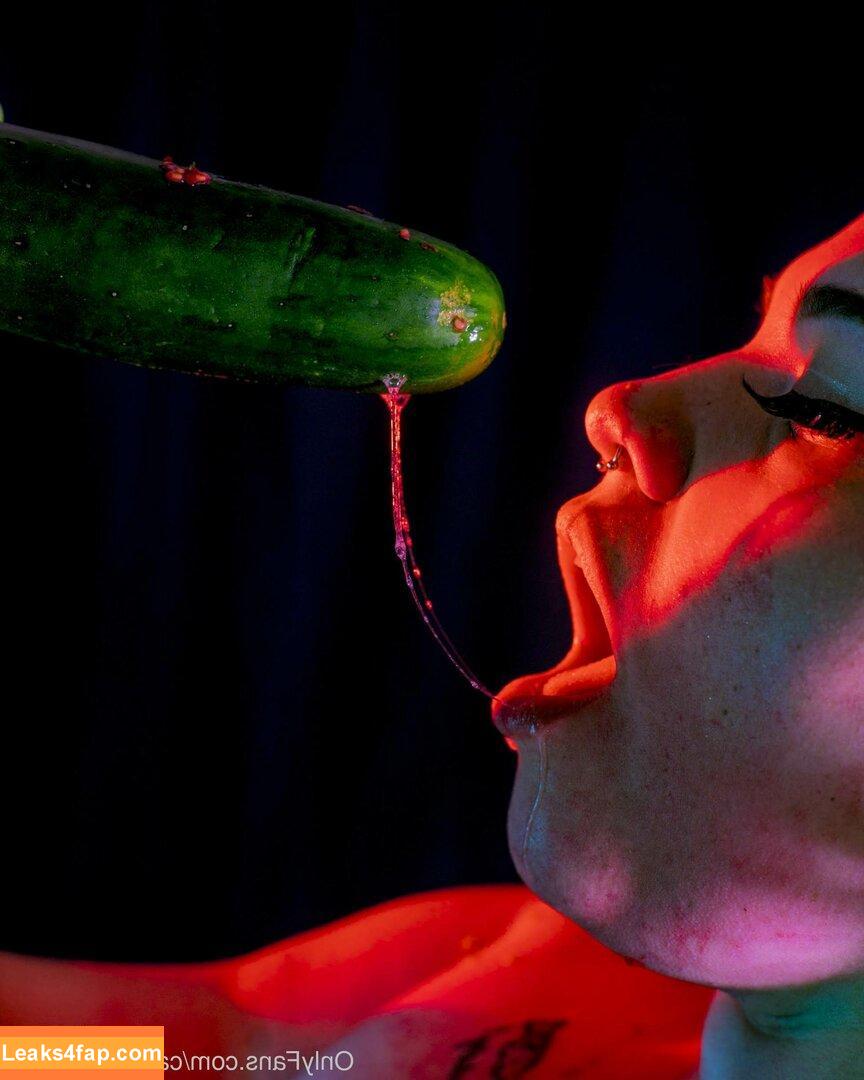 catalinahaldova / hellavelvet leaked photo photo #0025