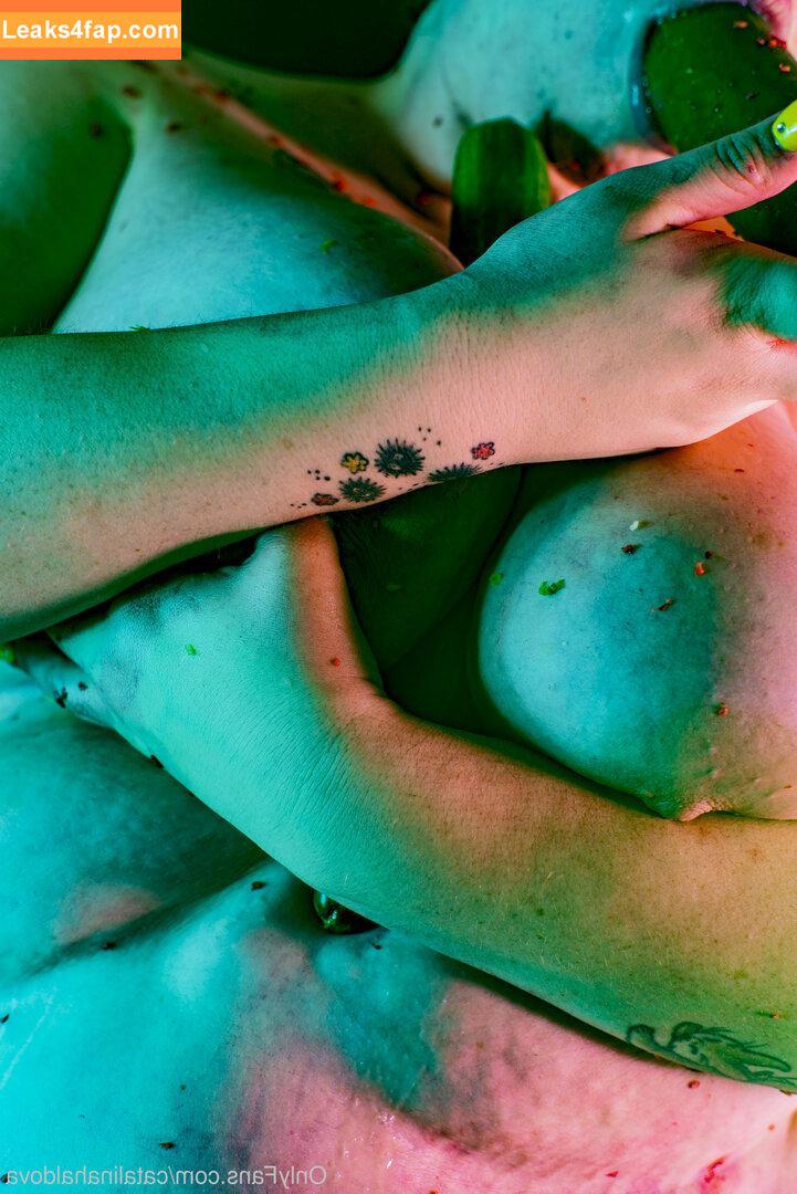 catalinahaldova / hellavelvet leaked photo photo #0041