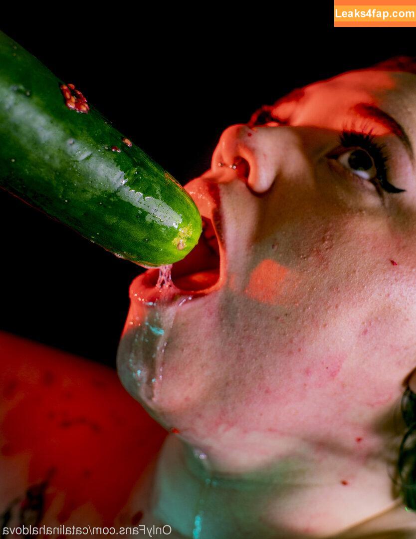 catalinahaldova / hellavelvet leaked photo photo #0043
