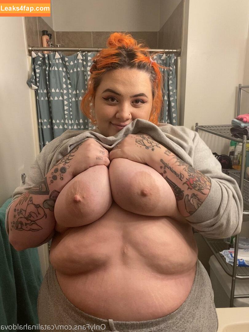 catalinahaldova / hellavelvet leaked photo photo #0089