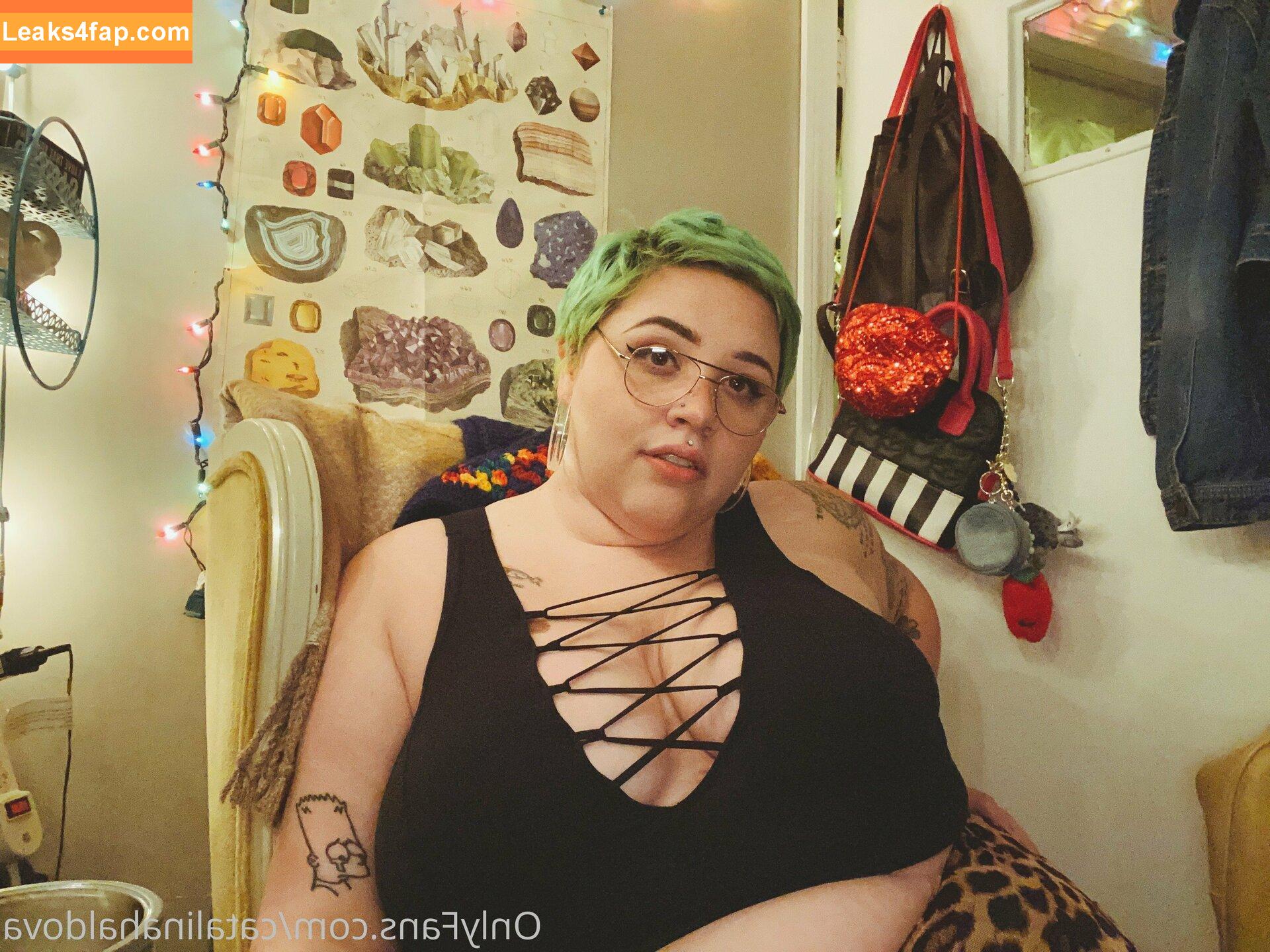 catalinahaldova / hellavelvet leaked photo photo #0115