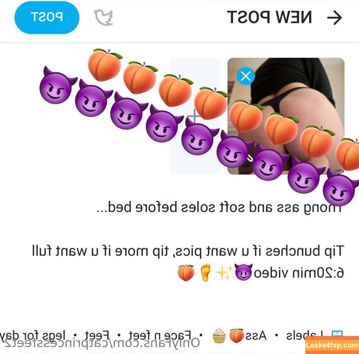 catprincessfeet2 /  leaked photo photo #0013