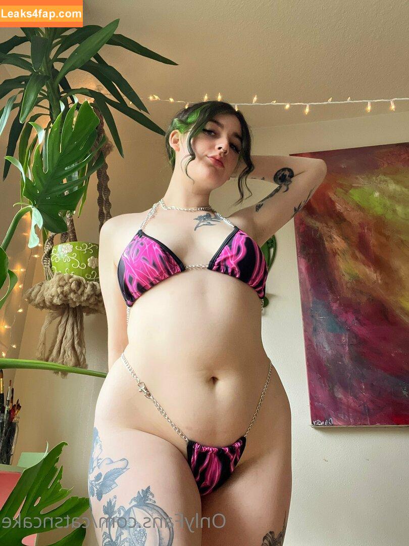 catsncake / catsncakes leaked photo photo #0040