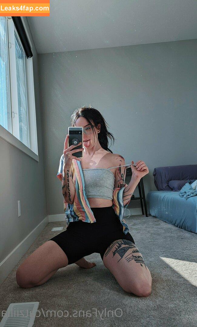 Catziilla / cptamaziing / thecatziilla слитое фото фото #0169