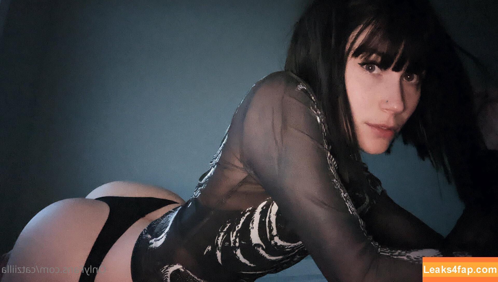 Catziilla / cptamaziing / thecatziilla слитое фото фото #0187