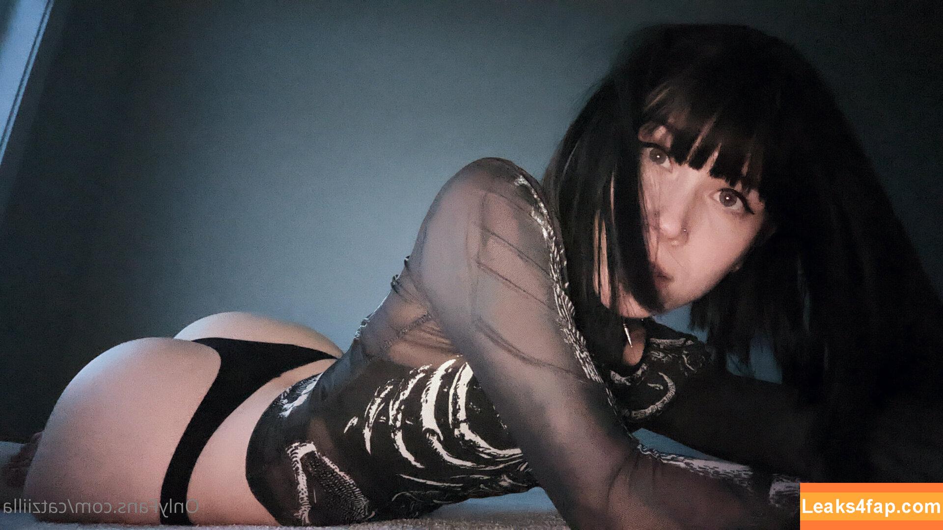 Catziilla / cptamaziing / thecatziilla слитое фото фото #0189