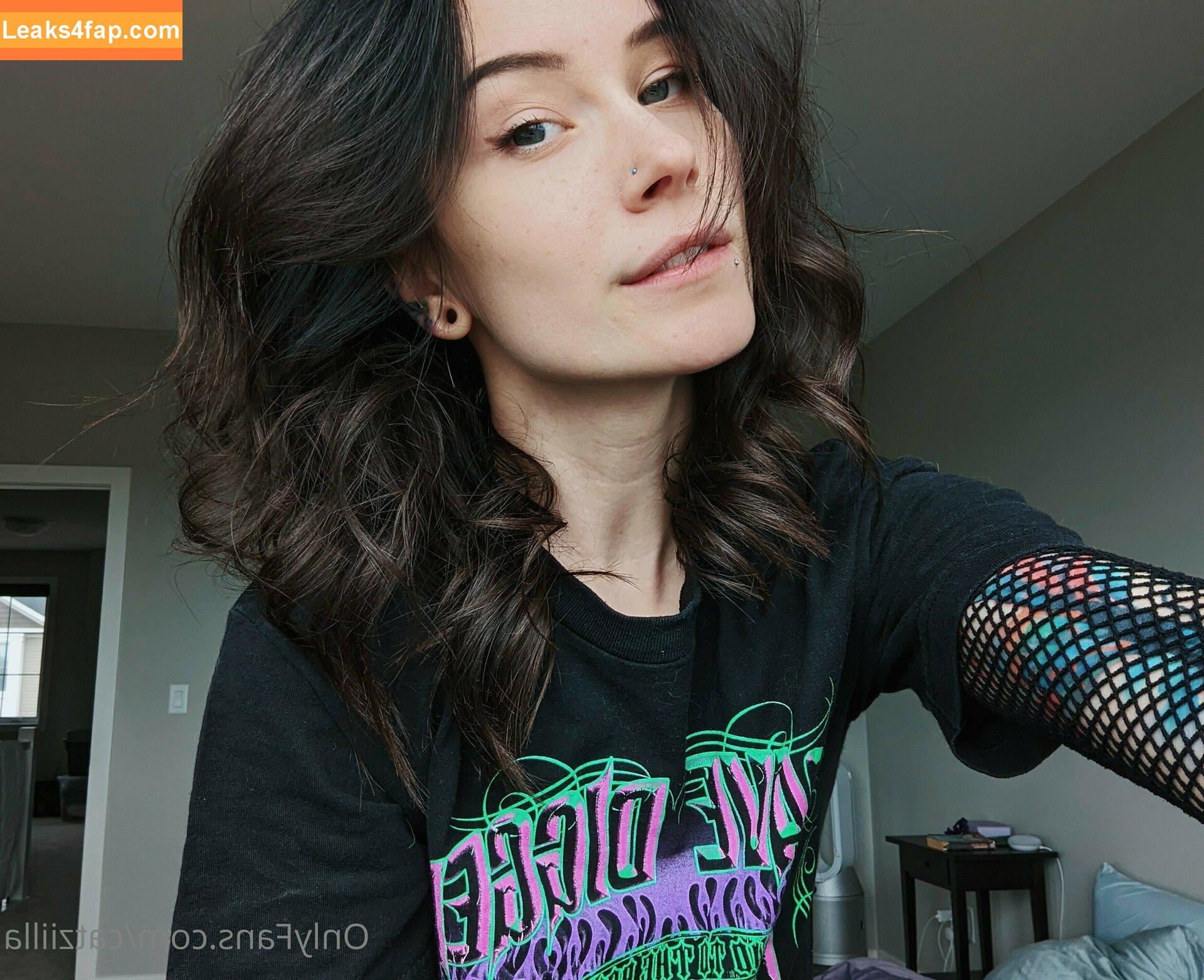 Catziilla / cptamaziing / thecatziilla слитое фото фото #0314