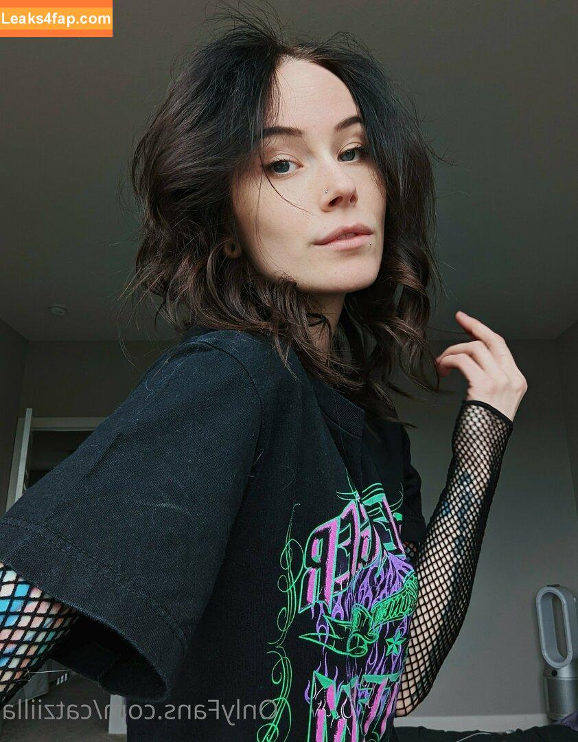 Catziilla / cptamaziing / thecatziilla слитое фото фото #0315