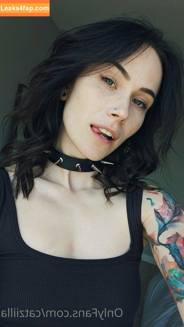 Catziilla / cptamaziing / thecatziilla слитое фото фото #0317