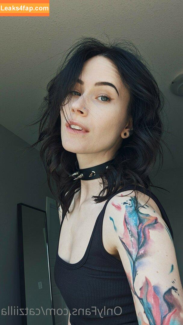 Catziilla / cptamaziing / thecatziilla слитое фото фото #0319