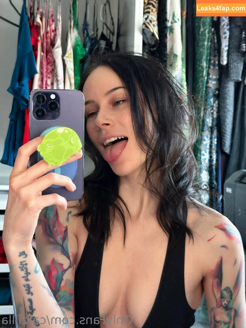 Catziilla / cptamaziing / thecatziilla слитое фото фото #0515