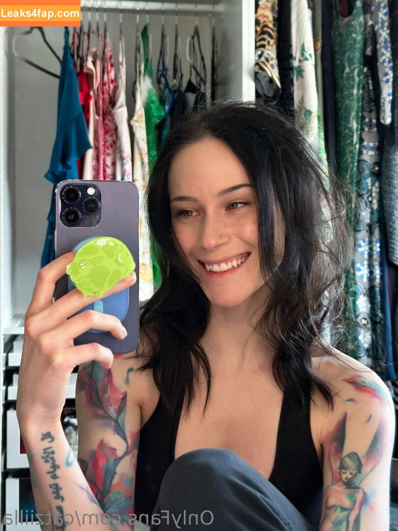 Catziilla / cptamaziing / thecatziilla слитое фото фото #0516