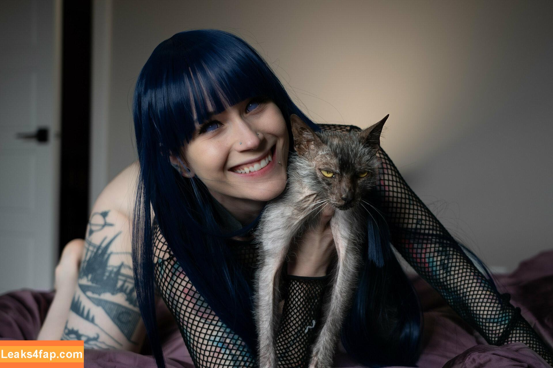 Catziilla / catziiilla / thecatziilla leaked photo photo #0823