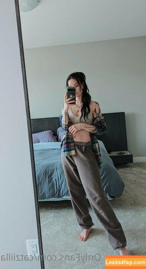 Catziilla photo #0346