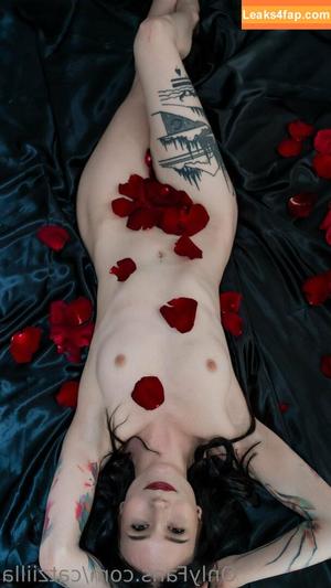 Catziilla photo #0498