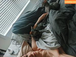 Catziilla photo #0564