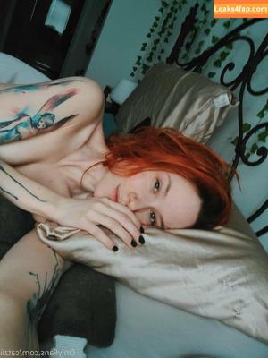 Catziilla photo #0566