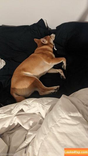 ccbunz photo #0024