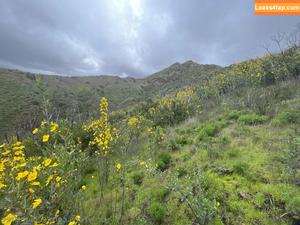 ccflightfree photo #0024